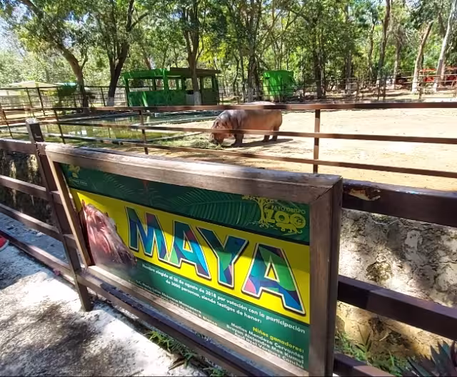 El Jardín Zoológico Payo Obispo