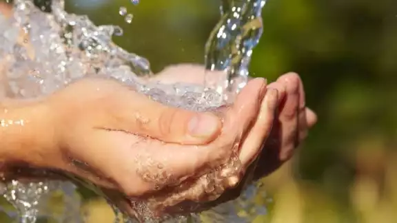 El agua es uno de los recursos más importantes para los seres vivos. Foto: Especial