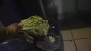 Más de 200 toneladas al día: Cancún, la segundad ciudad del país con mayor desperdicio de alimentos 