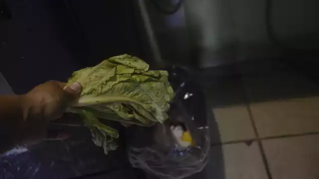 Más de 200 toneladas al día: Cancún, la segundad ciudad del país con mayor desperdicio de alimentos en los hogares