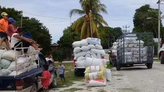 Actualmente sólo venden a dos o tres introductores que imponen el precio de venta Actualmente sólo venden a dos o tres introductores que imponen el precio de venta
