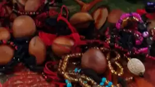 Doña Antonia Poot refirió que va a seguir explorando más semillas, de otros árboles