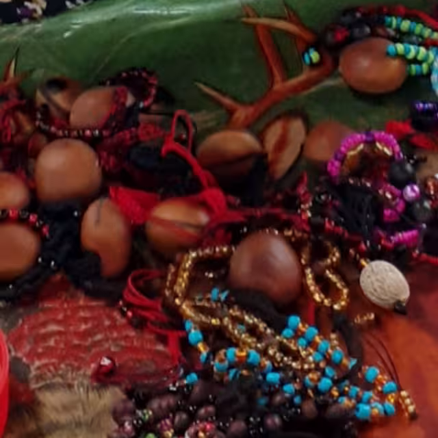 Doña Antonia Poot refirió que va a seguir explorando más semillas, de otros árboles