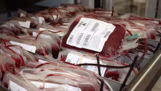 En la Península de Yucatán, existen 12 bancos de sangre: Uno se 
encuentra en Campeche, cuatro en Quintana Roo y siete en Yucatán