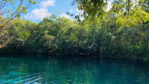 La bellleza del agua en el Cenote Carwash en Tulum La bellleza del agua en el Cenote Carwash en Tulum