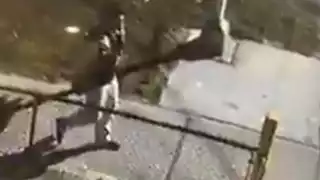 El robo quedó registrado en un video