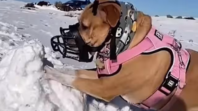 Bumble fue diagnosticada con cáncer