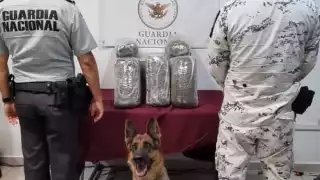 La detección de la droga se ha realizado durante revisiones a equipajes y las propias instalaciones de las terminales aéreas