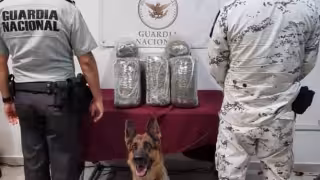 El paquete encontrado fue puesto a disposición de la Fiscalía General de la República en Quintana Roo