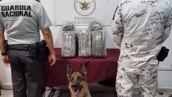 La detección de la droga se ha realizado durante revisiones a equipajes y las propias instalaciones de las terminales aéreas