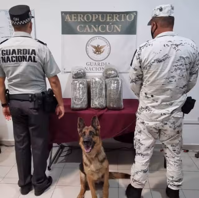 La detección de la droga se ha realizado durante revisiones a equipajes y las propias instalaciones de las terminales aéreas