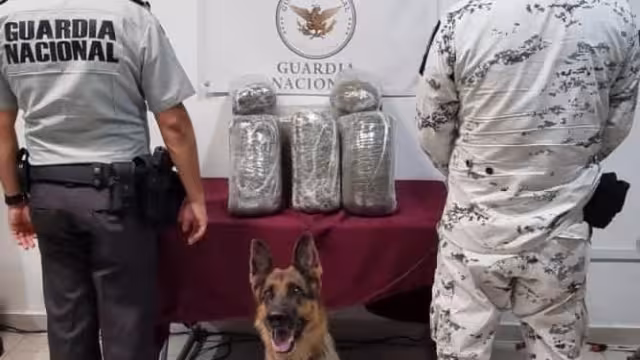 El paquete encontrado fue puesto a disposición de la Fiscalía General de la República en Quintana Roo