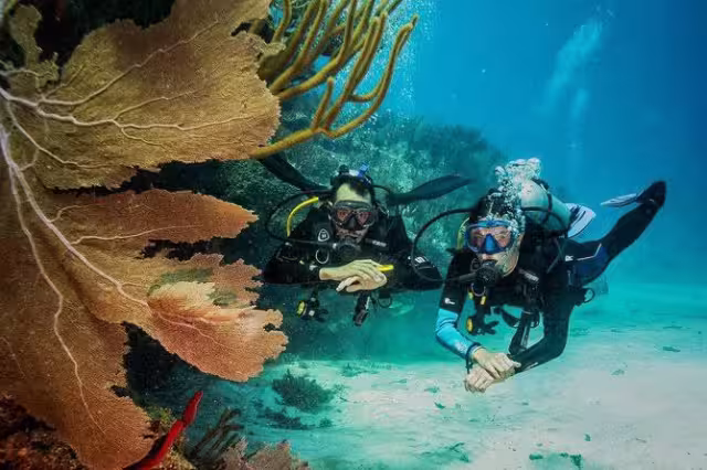 Denuncian daño a arrecifes en la Riviera Maya