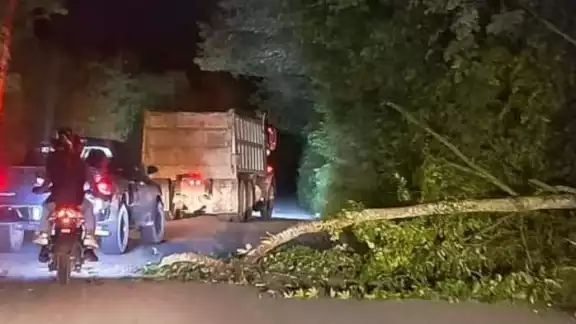 Debido a la rápida respuesta de los elementos de la CNE, el árbol fue retirad para seguir evitando el tráfico