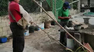 La muerte de las mascotas alertó a los vecinos de la colonia Centro