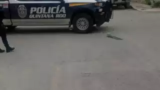 Ocurrió en la colonia Ejido, en Playa del Carmen