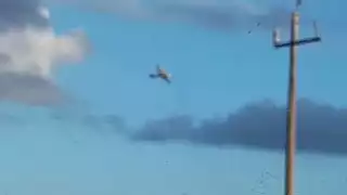 Se repite la historia del 2019 cuando varias aeronaves realizaron los trasiegos de la cocaína en el campo menonita