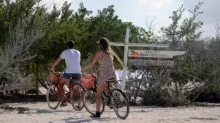 Del aeropuerto de Cancún a la isla Holbox: ¿Cómo llegar y cuáles son las opciones de transporte?