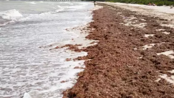 Turistas nacionales y extranjeros se dieron cita este lunes en las playas del pueblo mágico Turistas nacionales y extranjeros se dieron cita este lunes en las playas del pueblo mágico
