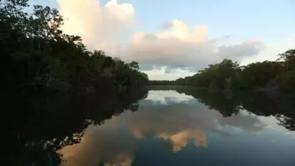 Hasta el momento la autoridad federal no ha dado a conocer de manera oficial el aseguramiento