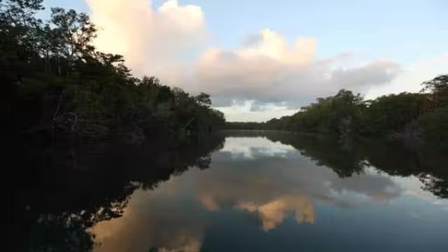 Hasta el momento la autoridad federal no ha dado a conocer de manera oficial el aseguramiento
