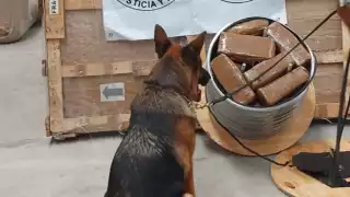 Guardia Nacional localiza 17 paquetes con droga en una empresa de mensajería en Cancún