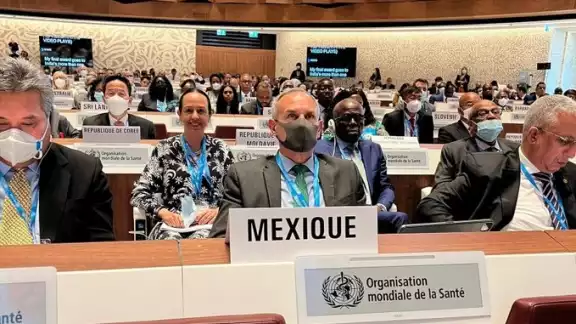 López-Gatell presente en la primera sesión de la Asamblea Mundial de la Salud convocada por la OMS. Foto: @HLGatell