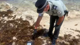 FOTO: Twitter Guardia Nacional