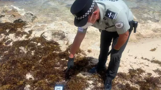 FOTO: Twitter Guardia Nacional