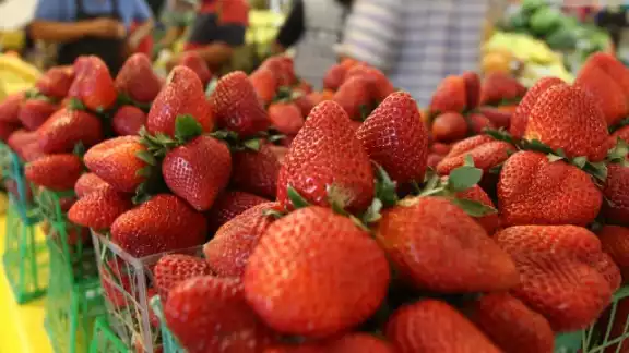 La Administración de Alimentos y Medicamentos de EU nvestiga el posible vínculo entre un brote de hepatitis A y fresas orgánicas frescas