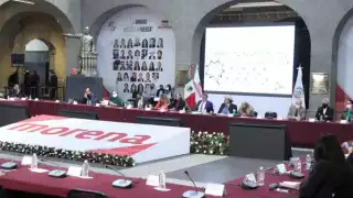 Rocío Nahle habló por más de 40 minutos durante la plenaria de los senadores de Morena. Foto: Senadores de Morena