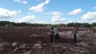 “Vemos las maquinarias devastando los montes”: Sitio arqueológico de Tzemé en Kinchil está en riesgo por la ampliación de una granja de Crío