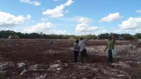 La antigua ciudad maya ubicada en el municipio de Kinchil resiste frente al avance de una granja industrial de Crío