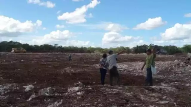 La antigua ciudad maya ubicada en el municipio de Kinchil resiste frente al avance de una granja industrial de Crío