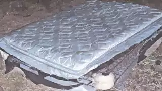 Hallan una cabeza humana al interior de un colchón en el Estado de México