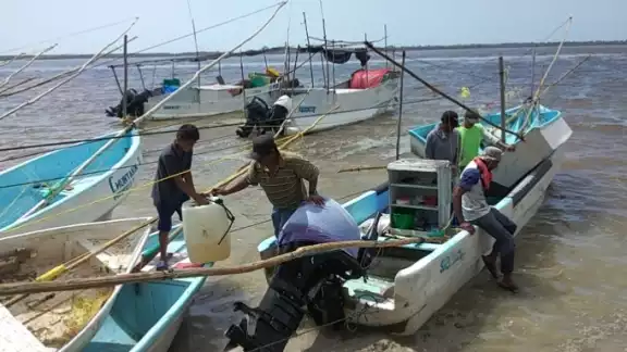 Los lugareños señalan que estos pescadores forasteros no sólo incumplen con la veda, sino que sus capturas las realizan con herramientas que están prohibidas Los lugareños señalan que estos pescadores forasteros no sólo incumplen con la veda, sino que sus capturas las realizan con herramientas que están prohibidas