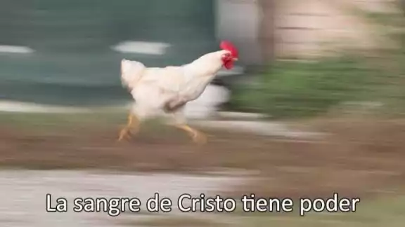 ¡Septiembre no tiembles!  Sismo en Guerrero deja los mejores memes de este martes 13