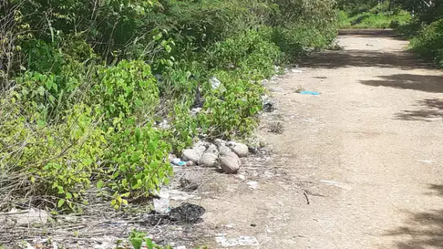 El predio donde se pretende construir un nuevo hospital.