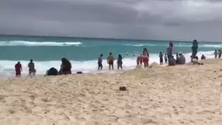 Las familias olvidaron que la ciudad está en contingencia sanitaria