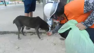 La multa podría estar entre 100 y 5 mil veces la UMA, es decir, de 8 mil 962 a 448 mil 100 pesos