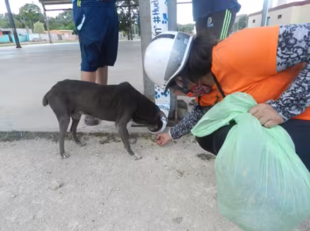 La multa podría estar entre 100 y 5 mil veces la UMA, es decir, de 8 mil 962 a 448 mil 100 pesos