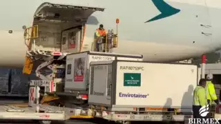 El vuelo 115 aterrizó a las 7:30 horas en el Aeropuerto Internacional de la Ciudad de México