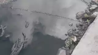 Los comerciantes han hecho lo que ha estado a su alcance, para poder aminorar los olores fétidos que se emanan de ese lugar