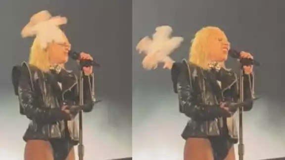 Lady Gaga fue golpeada con un Dr. Simi de peluche. Foto: Especial