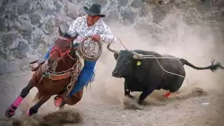 Recientemente, en un torneo realizado en Calotmul, un equino fue destripado y otros lesionados por los toros