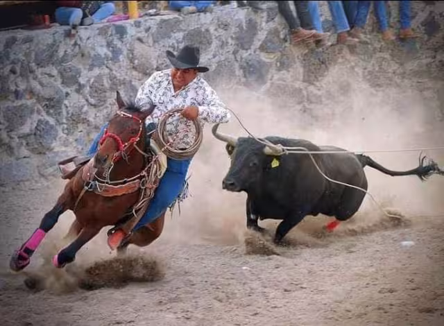 Recientemente, en un torneo realizado en Calotmul, un equino fue destripado y otros lesionados por los toros