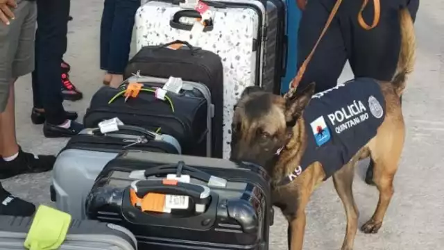 Dicho operativo se llevará a cabo de forma aleatoria en ese recinto portuario