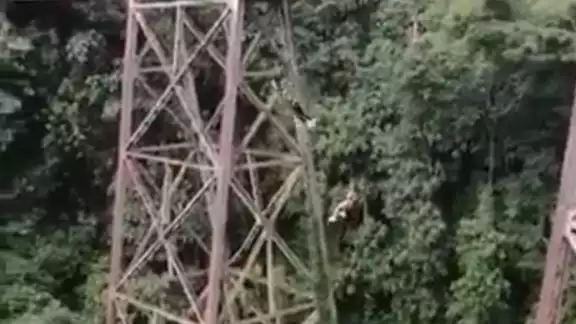 Una mujer falleció tras lanzarse del viaducto, mientras practicaba este deporte extremo. Una mujer falleció tras lanzarse del viaducto, mientras practicaba este deporte extremo.