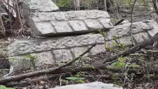 Vecinos denuncian saqueo de vestigios en Kinchil, Yucatán