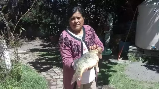 En la tercera temporada del reality, Honorina Arroyo resultó la absoluta ganadora de la emisión